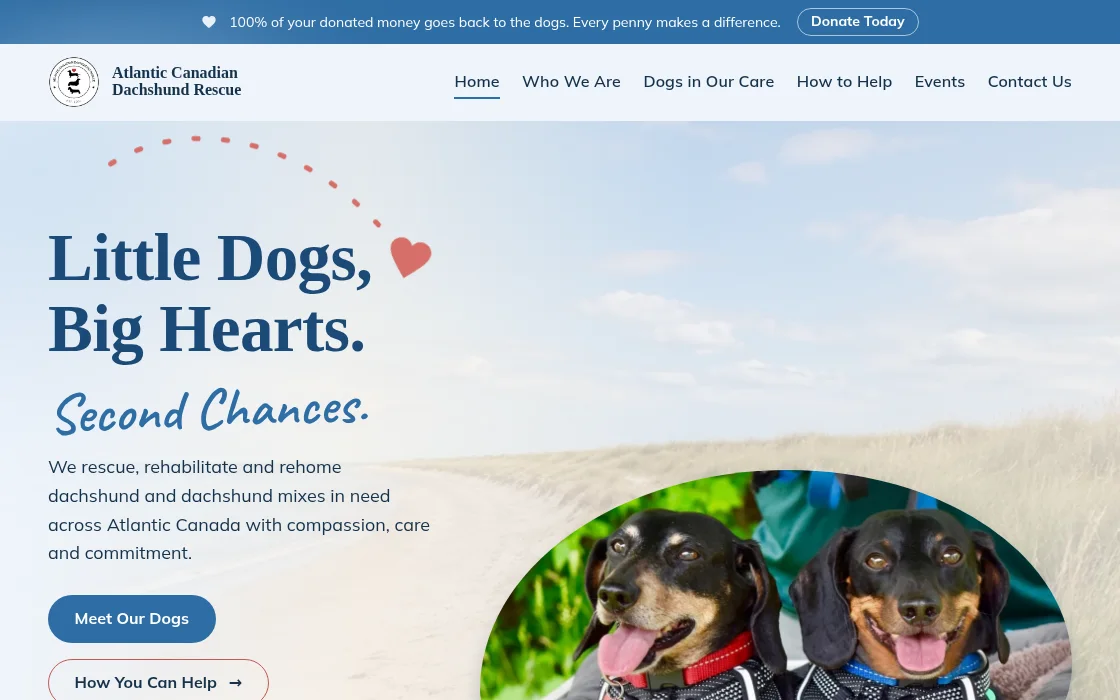 Screenshot of the Atlantic Canadian Dachshund Rescue homepage: two dachshunds in harnesses on a beach path under the headline Little Dogs, Big Hearts, Second Chances.