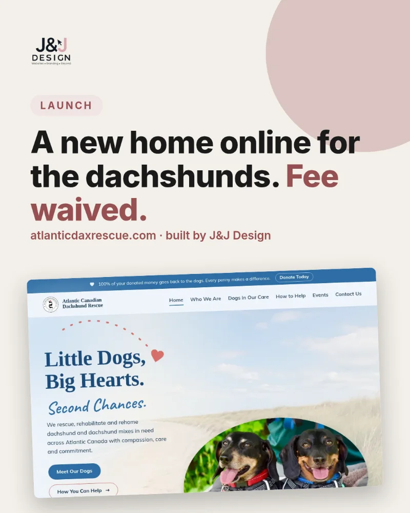 Launch cover: A new home online for the dachshunds, fee waived. The Atlantic Canadian Dachshund Rescue homepage.