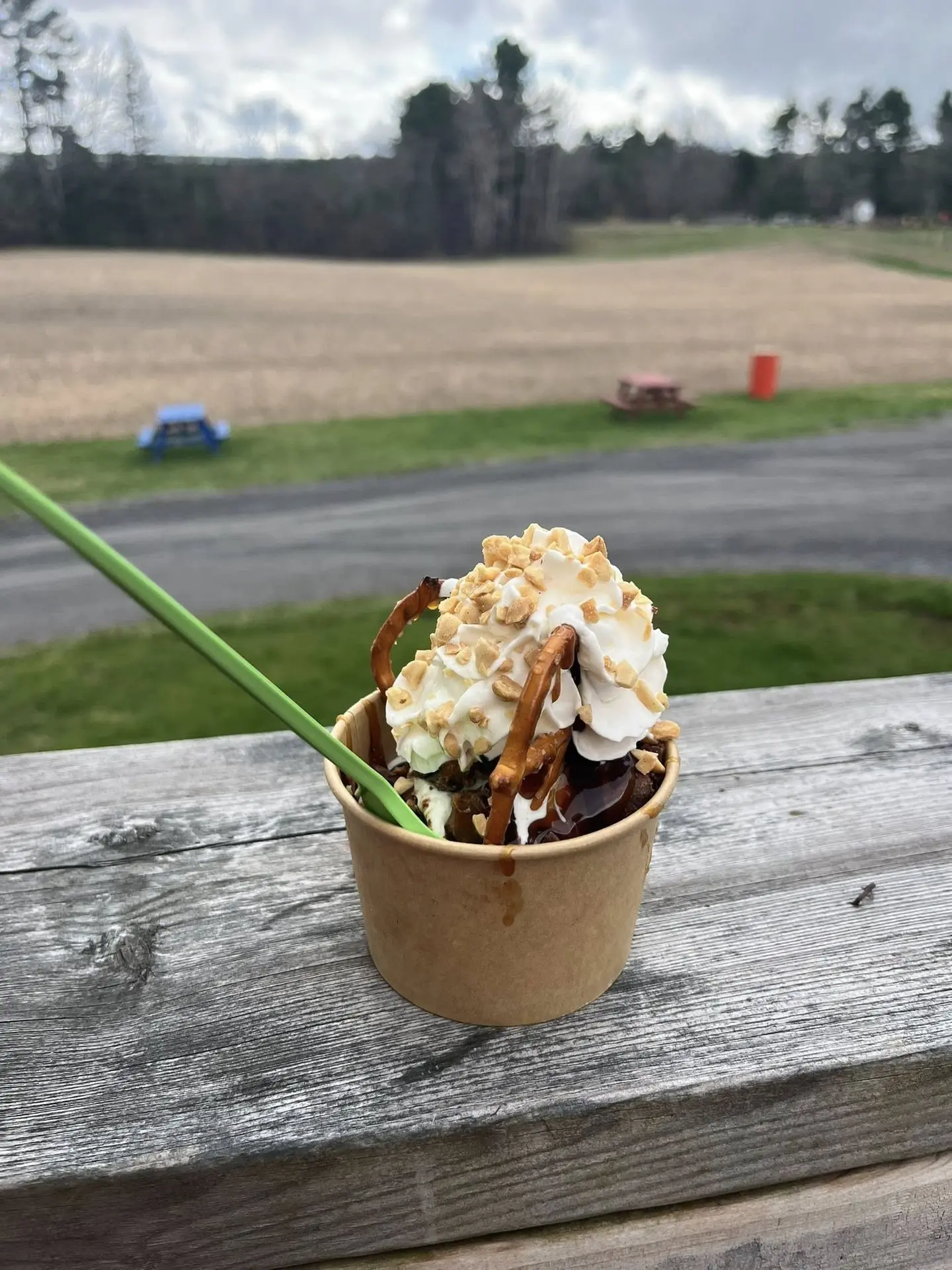 Chocolate/vanilla twist