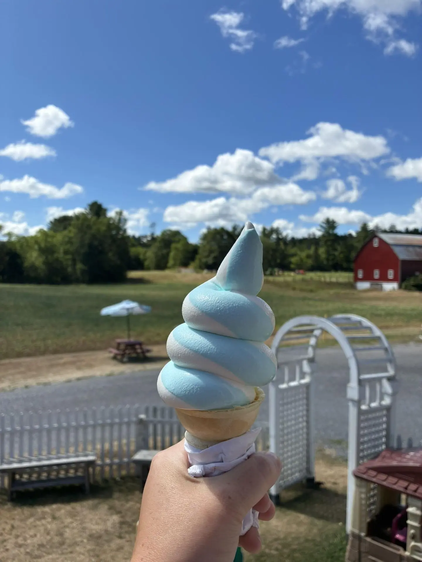 Vanilla cone